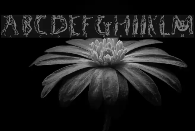 Human letters Font examples