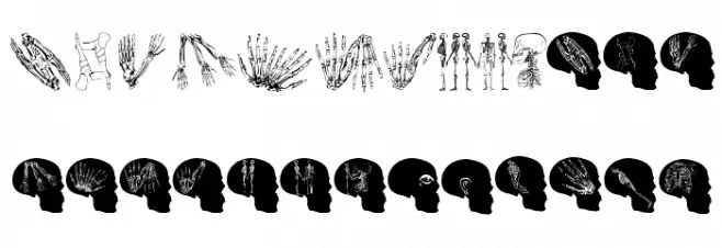 HumanInside Schriftart Groß