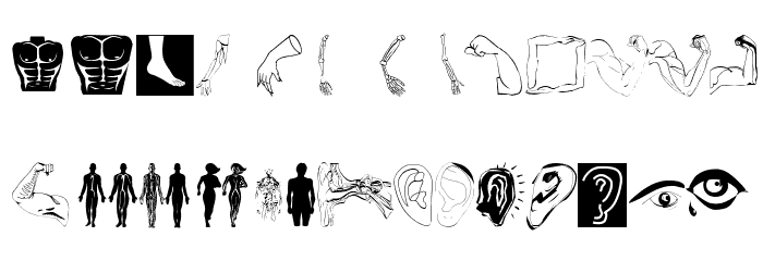 HumanInside Font LOWERCASE