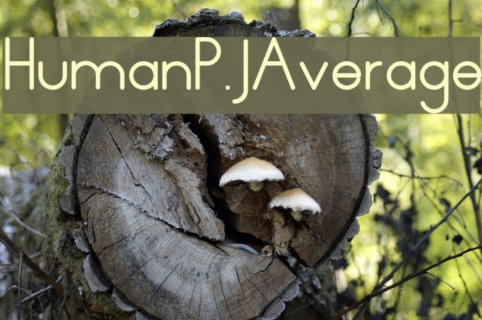 HumanP.J-Average Font examples