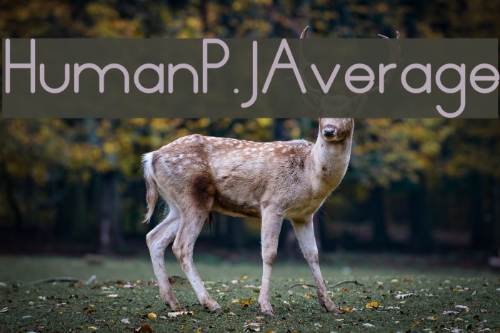 HumanP.J-Average Font examples
