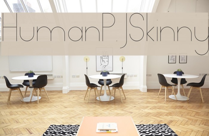 HumanP.J-Skinny Example 3