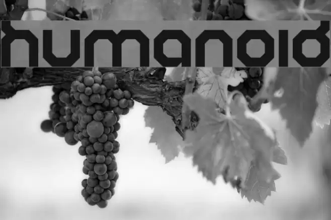 Humanoid Font examples