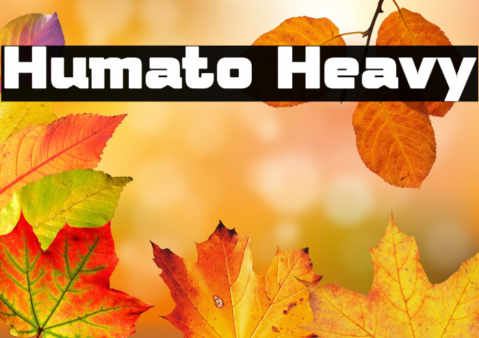 Humato Heavy Example 2