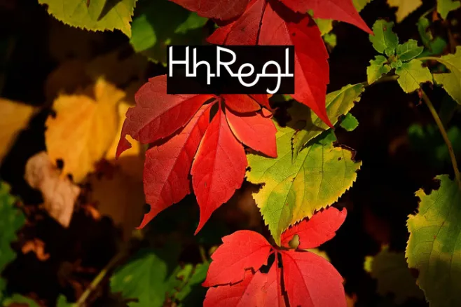 Humayrah Regular Example 2