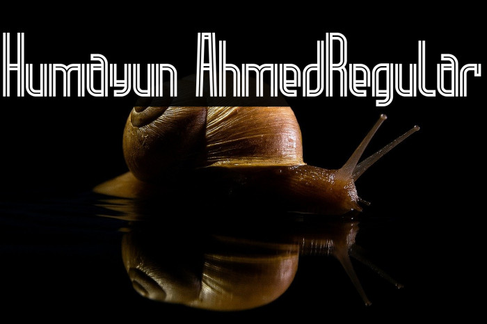 Humayun Ahmed-Regular Example 2