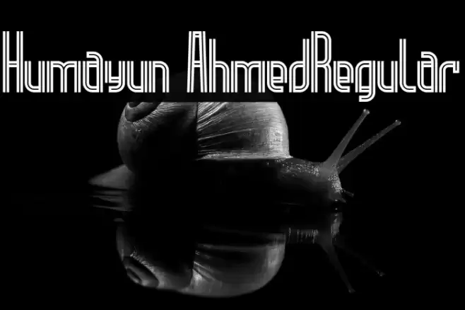 Humayun Ahmed-Regular Font examples