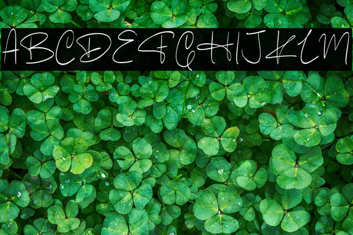 Humber Town Example 2