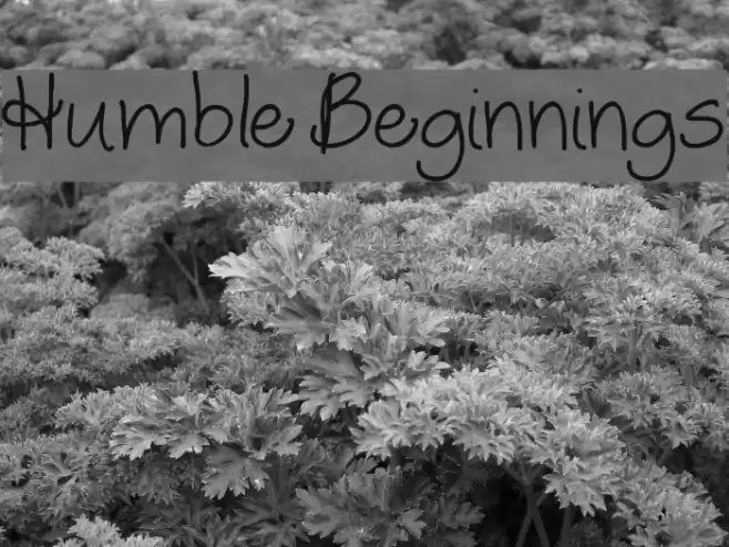 Humble Beginnings Font examples