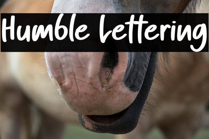 Humble Lettering Example 1