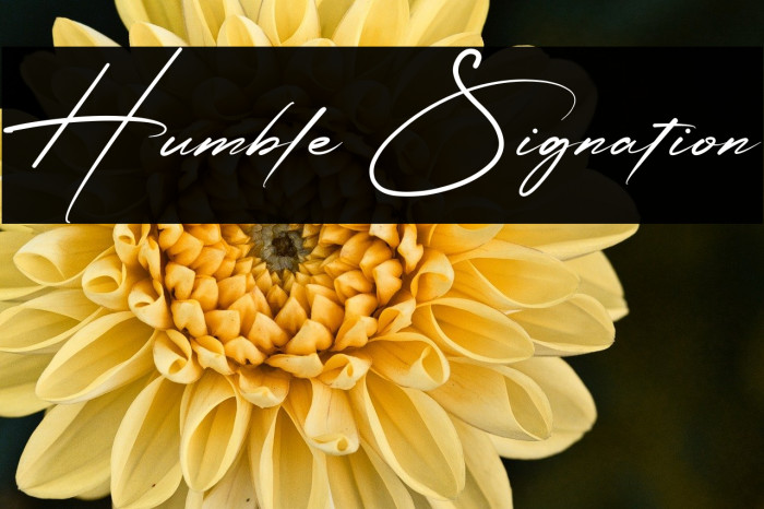 Humble Signation Example 1