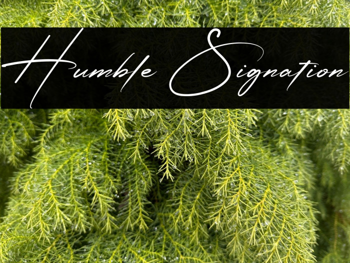 Humble Signation Example 2