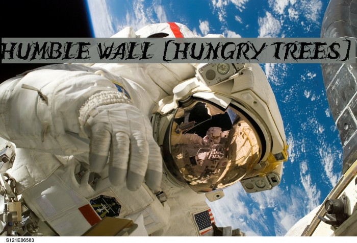 Humble Wall [Hungry Trees] Example 3