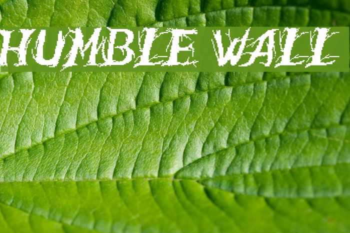 Humble Wall Font examples