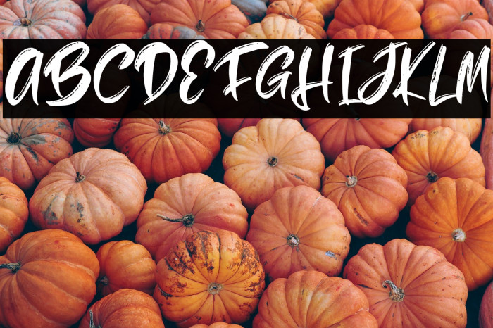 HumbleFREE Example 2