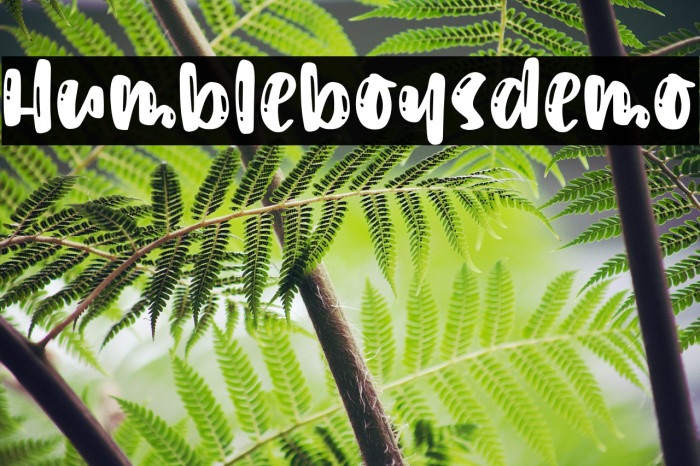 Humbleboysdemo Example 1