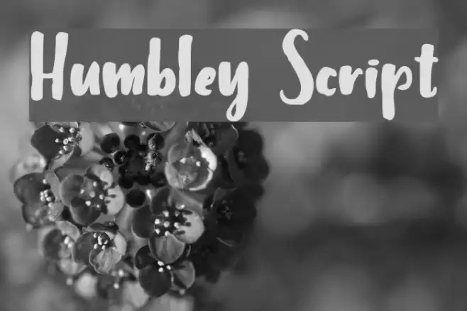 Humbley Script Font examples