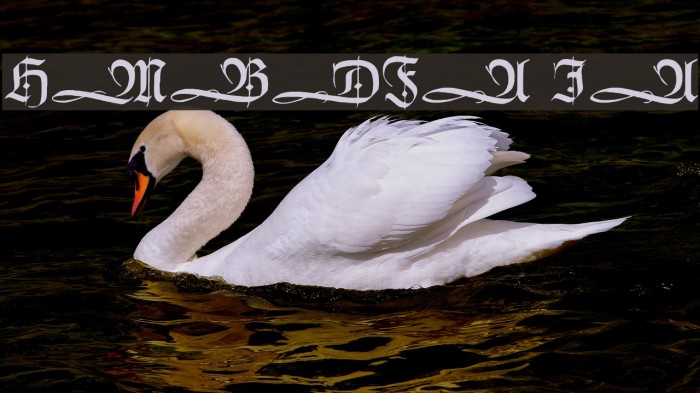 HumboldtFraktur Initialen Font examples