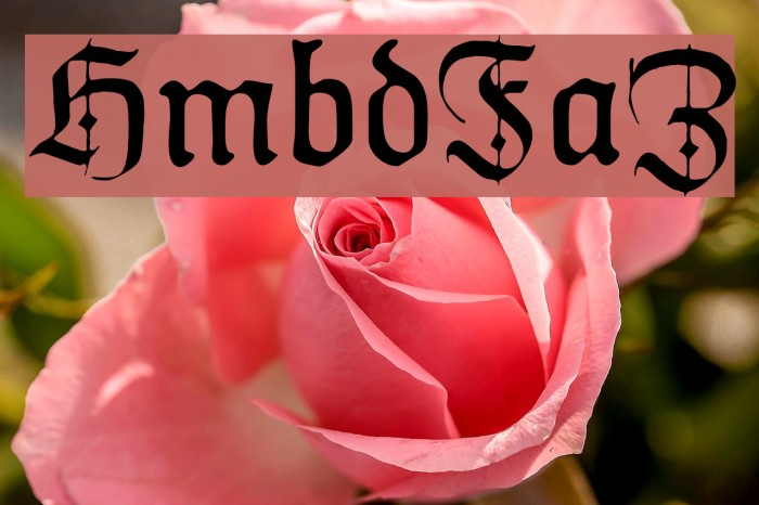 HumboldtFrakturZier Font examples