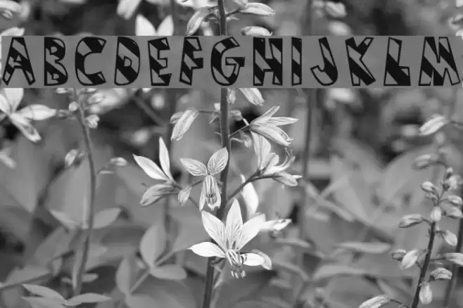 Humbug Font examples