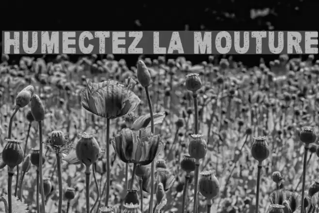 Humectez La Mouture Font examples