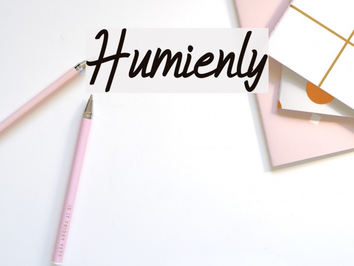 Humienly Font examples