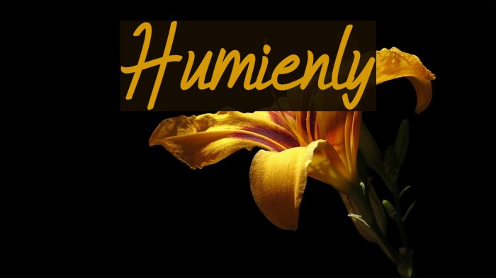 Humienly Font examples