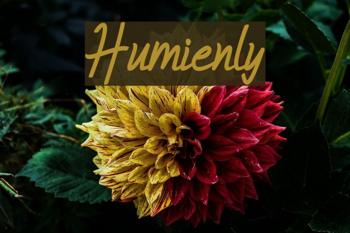 Humienly Font examples