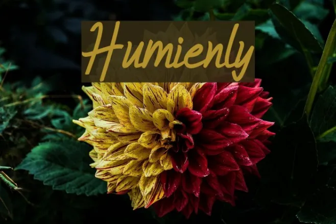 Humienly Example 3