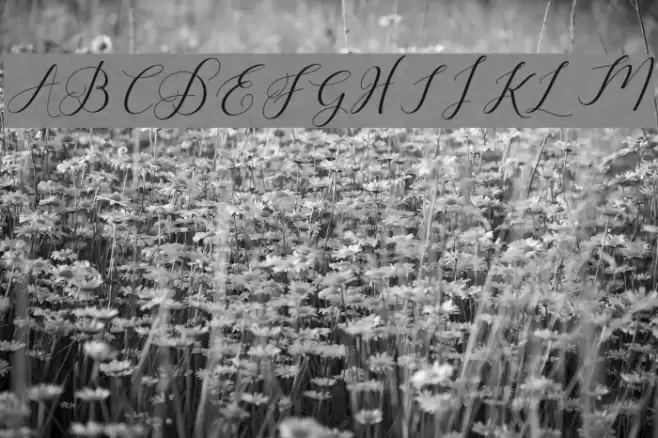 Humilderegular Font examples