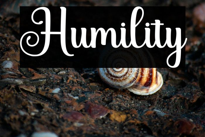 Humility Example 2