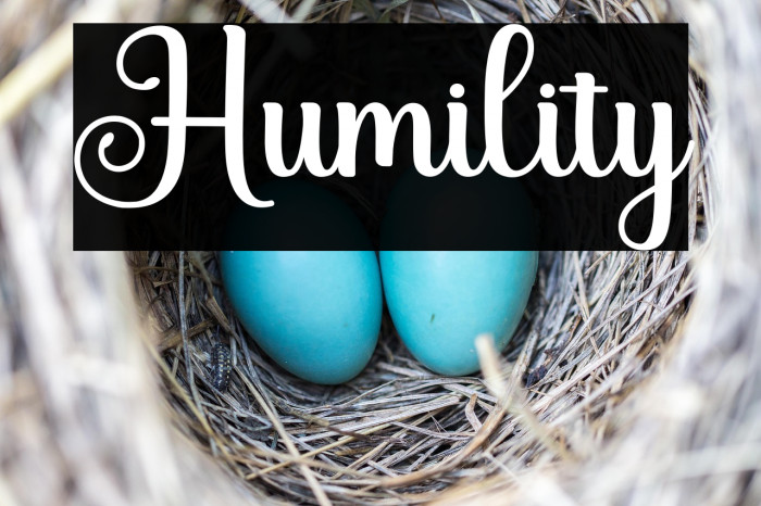 Humility Example 3