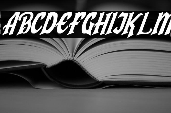 Humingson Italic Example 1