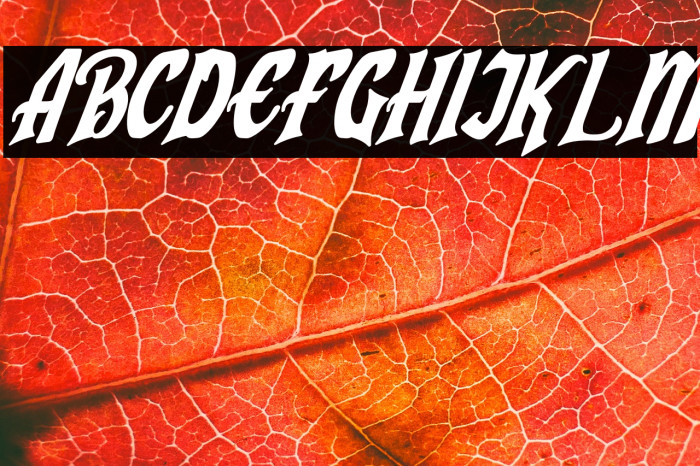 Humingson Italic Example 2