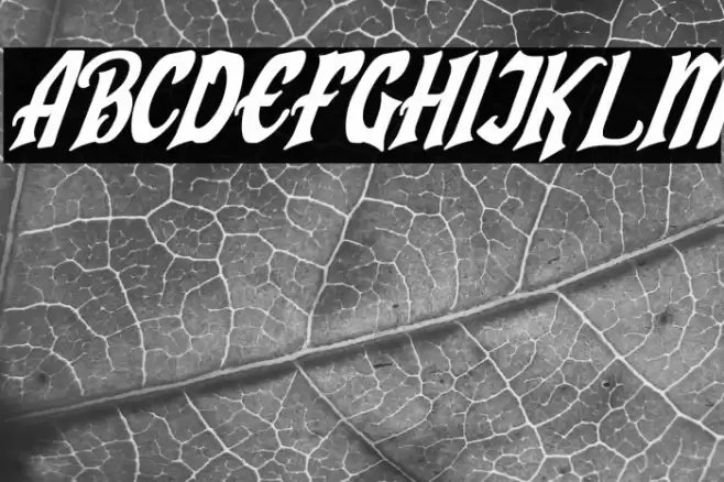 Humingson Italic Font examples