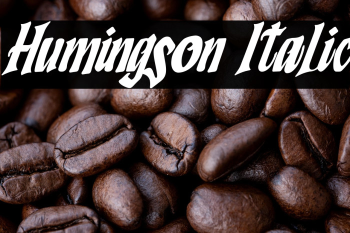 Humingson Italic Example 1