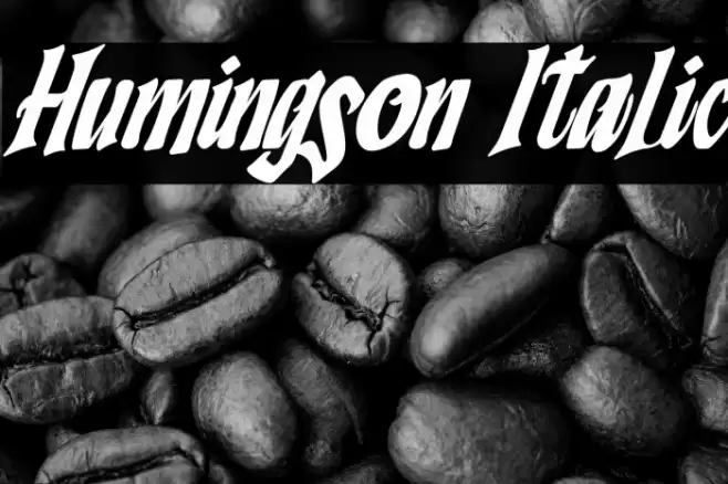 Humingson Italic Font examples