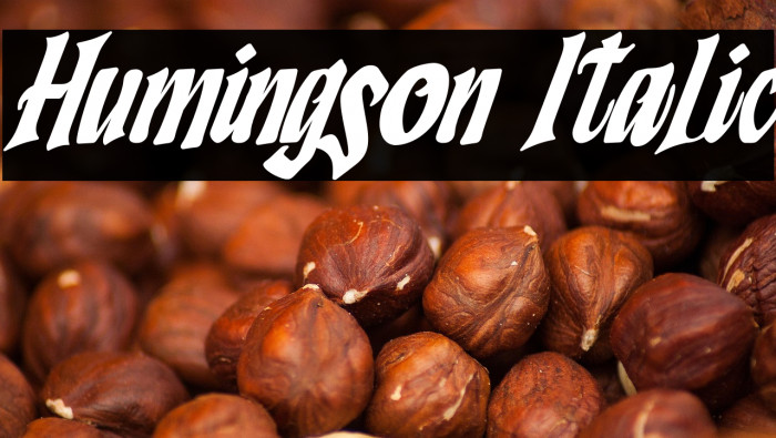 Humingson Italic Example 2