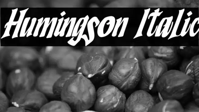 Humingson Italic Font examples