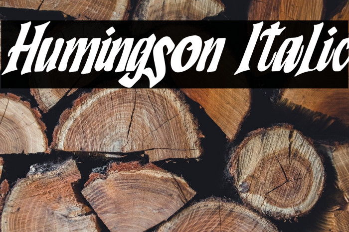 Humingson Italic Example 3