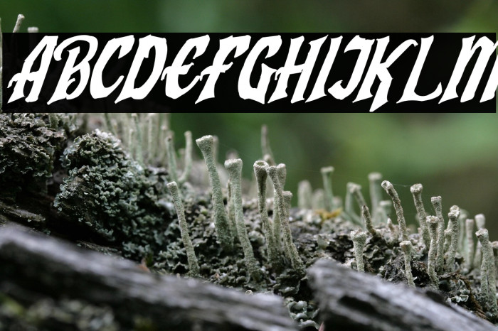 Humingson Rough Italic Example 1