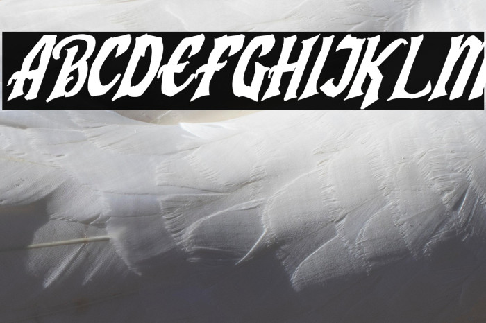 Humingson Rough Italic Example 2