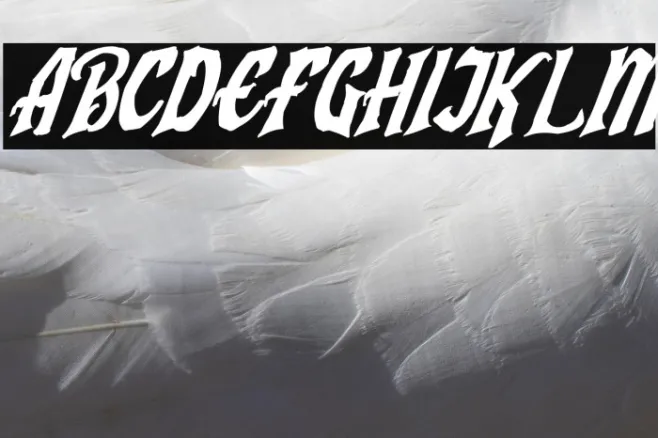 Humingson Rough Italic Example 2