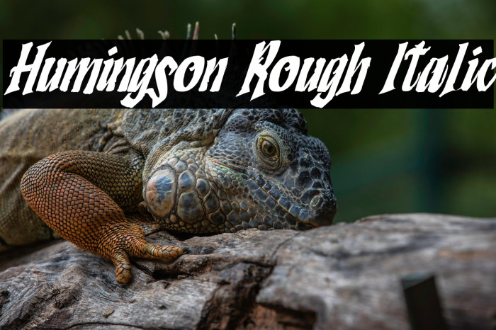 Humingson Rough Italic Example 1