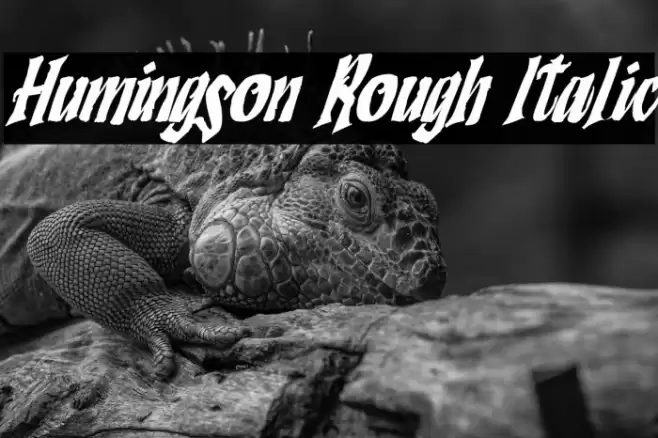 Humingson Rough Italic Font examples