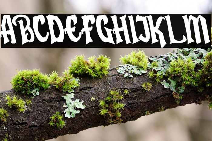 Humingson Rough Tilted Example 1