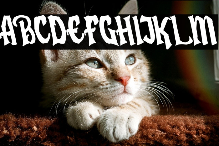 Humingson Rough Tilted Example 2