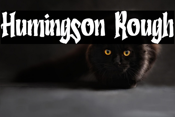 Humingson Rough Example 1