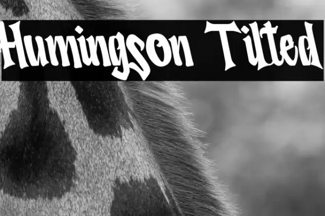 Humingson Tilted Font examples