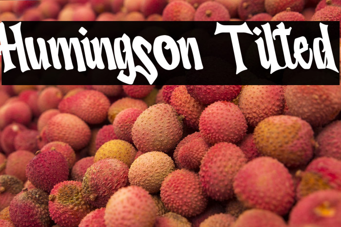 Humingson Tilted Example 3